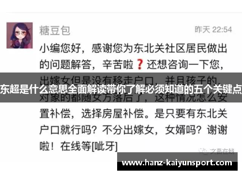 东超是什么意思全面解读带你了解必须知道的五个关键点