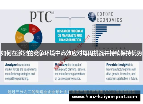 如何在激烈的竞争环境中高效应对每周挑战并持续保持优势